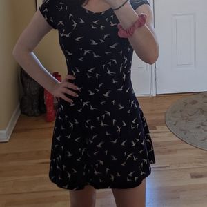 Spring/Summer Dress